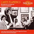 Cante Flamenco: Recorded Live in Juerga and Concert in Andalucia
