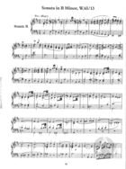 Sonata, Wq.65/13, B Minor