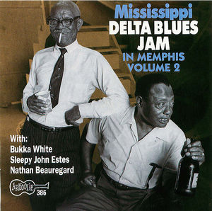 Mississippi Delta Blues Jam In Memphis, Vol.2