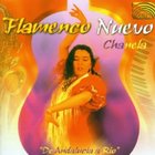 Flamenco Nuevo: De Andalucia a Rio