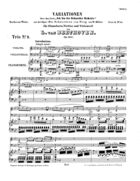 Variationen über das Lied 'Ich bin der Schneider Kakadu,' Trio No. 9