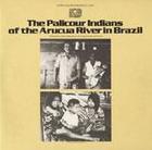 Palicour Indians of the Arucua River in Brazil
