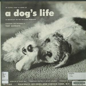 An Actual Story in Sound of a Dog's Life