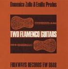Two Flamenco Guitars