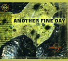 Another Fine Day: Salvage