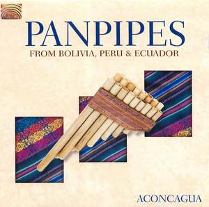 Panpipes from Bolivia, Peru & Ecuador: Aconcagua