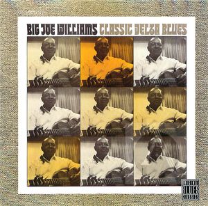 Big Joe Williams: Classic Delta Blues