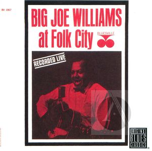 Big Joe Williams at Folk City (Live)