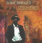 Fred Martin and The Levite Camp: Some Bridges