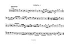 Sonta II für 2 Altblockflöten und Basso continuo, Op.2 Nr.2, F Sharp Minor