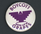 Boycott Non-UFW Grapes