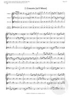 2. Concerto in E Minor, Op. 6, E Minor