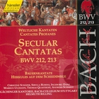 Bach: Secular Cantatas, BWV 212-213