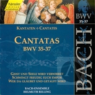 Bach: Cantatas, BWV 35-37