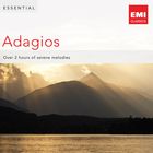 Symphony No. 5 in C sharp minor: IV. Adagietto (conclusion) (1988 Digital Remaster)