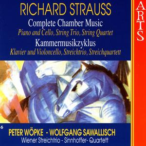 Strauss: Complete Chamber Music - 6 Piano & Cello, String Trio, String Quartet