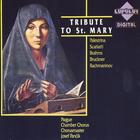 Tribute to St. Mary
