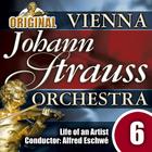 Vienna Johann Strauss Orchestra: Edition 6, Life of an Artist