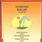 Afternoon Ragas: Volume One