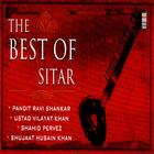 The Best Of Sitar Vol. 1