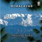 Amazing India - Himalayas