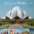 Amazing India - Essences Of Delhi