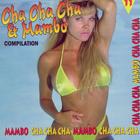 Cha Cha Cha & Mambo Compilation