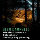 Wichita Lineman/Galveston/Country Boy (Medley)