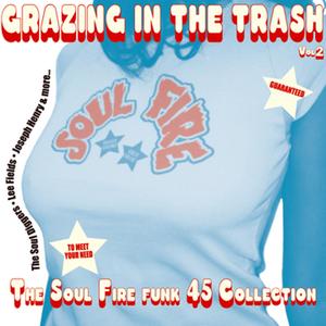 Truth & Soul presents Grazing In The Trash Vol. 2 : The Soul Fire Funk 45s