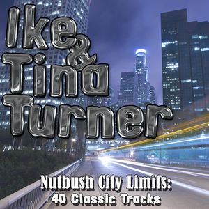 Nutbush City Limits - 40 Classic Tracks