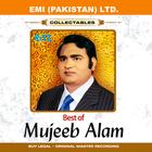 Best Of Mujeeb Alam