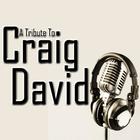 A Tribute To Craig David