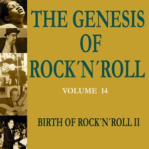 The Genesis of Rock 'n' Roll - Vol. 14: Birth of Rock 'n' Roll 2