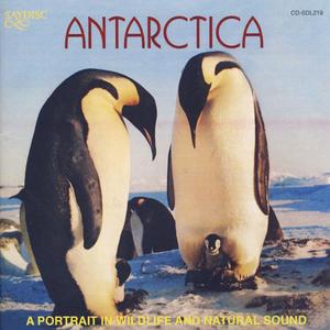 Antarctica: A Portrait In Wildlife & Natural Sound