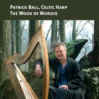 The Wood Of Morois (Celtic Harp)