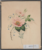 Watercolour of two single pink dog roses and two buds with two sprigs of blue back ground flowers