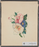Watercolour of one white and one pink petunia (?) and one blue daisy with foliage