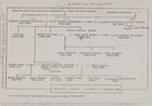 Schumacher (Schumer) family tree