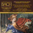JS Bach Cantatas - Volume VI - Favorite Cantatas