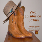 Viva La Musica Latina