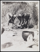 3 males slitting throat of a sheep with pot for blood collecting