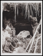 4 males in a cave standing on rocks with grasses hanging down from above