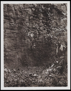 2 males standing before the foot of a rock face with vegetation, a shrine
