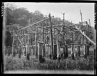 Framework of large European style house under construction (London Missionary Society Mission House ?)