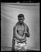 Young boy in tradecloth skirt, with a large dead snake draped around his shoulders, standing against a white cloth backdrop