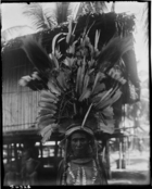 Delena (?) woman wearing an elaborate feather headdress and tooth jewellery