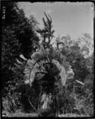 woman wearing elaborate feather headdress and tooth jewellery (see also RAI No. 34325, 34326, 34329) (Nara style dance mask ? )