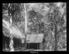 Chinese mining camp, Bukit Besar, 2,000 feet