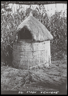 small circular thatched hut, possibly a granary, field of millet (?) in the background