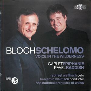 Bloch Schelomo: Voice in the Wilderness